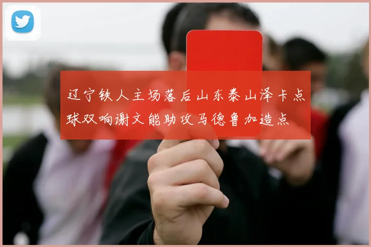辽宁铁人主场落后山东泰山泽卡点球双响谢文能助攻马德鲁加造点