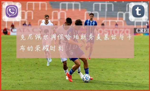 克尼佩尔调侃哈珀新秀羡慕你与卡布的荣耀时刻