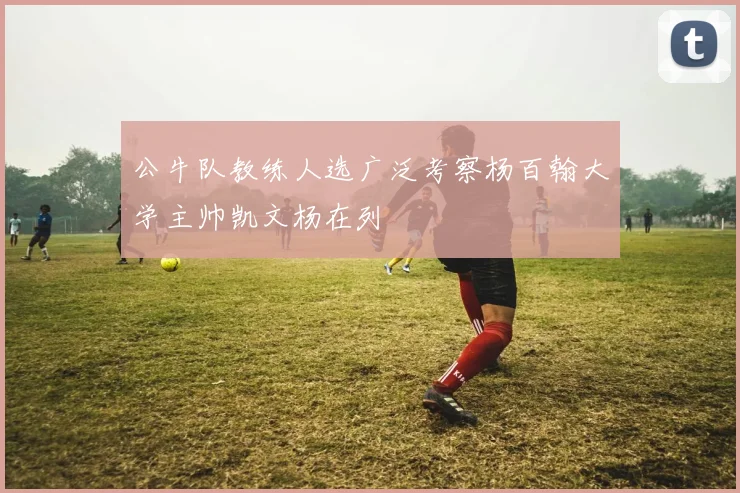 公牛队教练人选广泛考察杨百翰大学主帅凯文杨在列